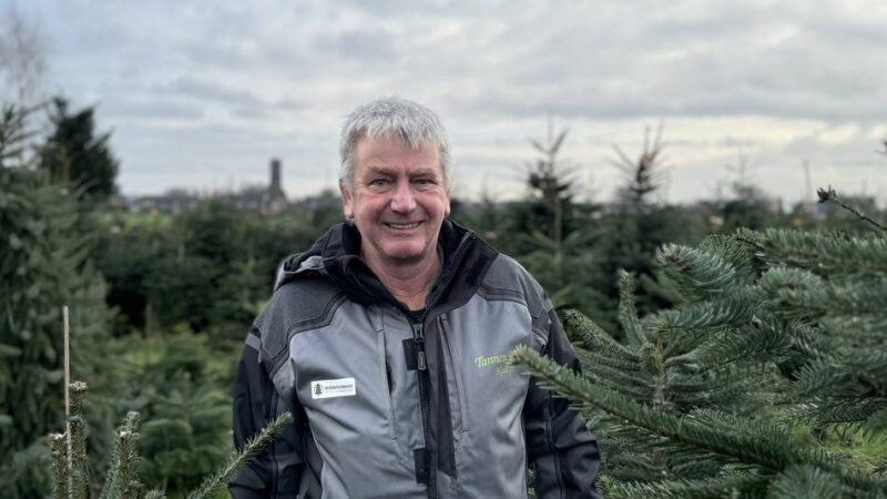 „Tannen Karl“ in Kalkar: Wenn Weihnachtsbäume im Mai frieren