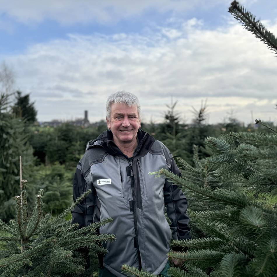 „Tannen Karl“ in Kalkar: Wenn Weihnachtsbäume im Mai frieren