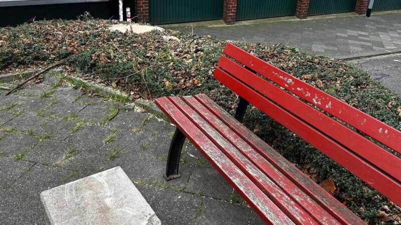 Arbeiten in Mönchengladbach: Warum der Baum „Am Zwickel“ gefällt wurde