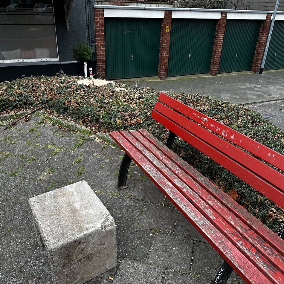 Arbeiten in Mönchengladbach: Warum der Baum „Am Zwickel“ gefällt wurde