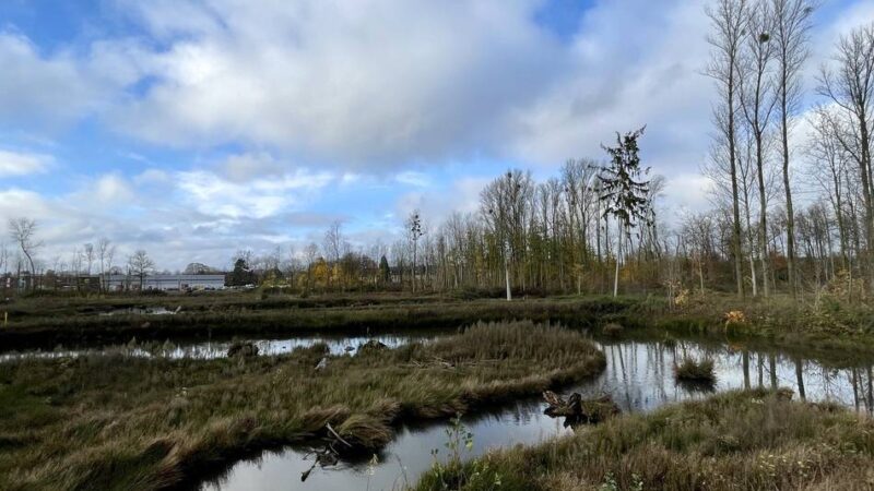 Verbandsversammlung des Niersverbandes: Millionen für den Umweltschutz
