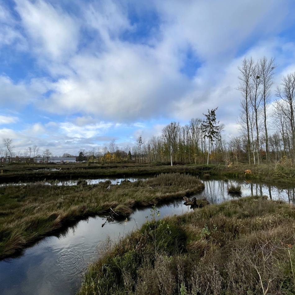 Verbandsversammlung des Niersverbandes: Millionen für den Umweltschutz