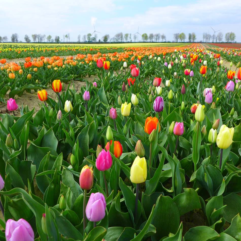 Ehrenamtliches Projekt: Neuer Bildband zeigt Grevenbroich aus 180 Perspektiven