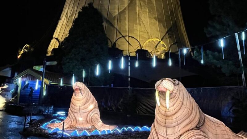 Winter-Aktion in Kalkar: Im Winter wird das Wunderland zum Wunderlight