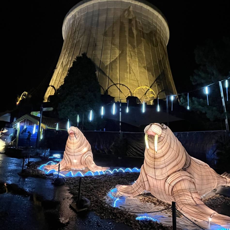 Winter-Aktion in Kalkar: Im Winter wird das Wunderland zum Wunderlight