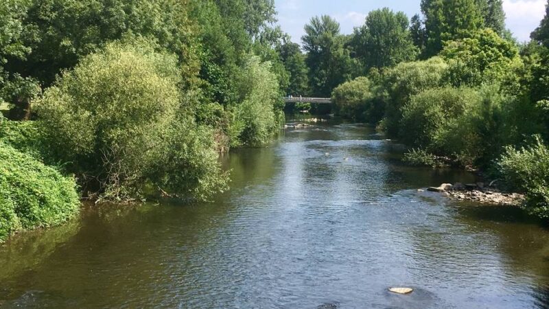 Leichenfund in Leverkusen: Toter aus Wupper noch nicht identifiziert