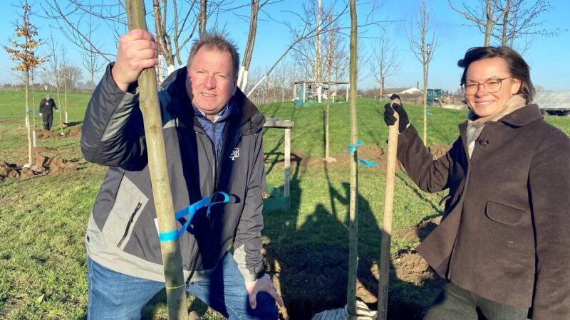 Resistent gegen Hitze und Starkregen: Diese Bäume werden im neuen Duisburger Klimahain gepflanzt