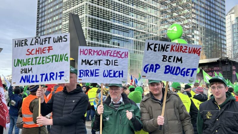 Auch Bauern aus dem Kreis Kleve protestieren: Heimische Landwirte demonstrieren in Brüssel gegen Rindfleisch-Abkommen
