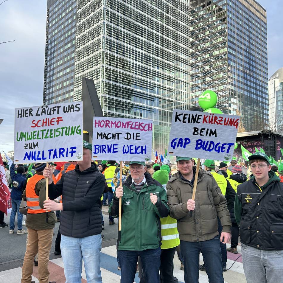 Auch Bauern aus dem Kreis Kleve protestieren: Heimische Landwirte demonstrieren in Brüssel gegen Rindfleisch-Abkommen