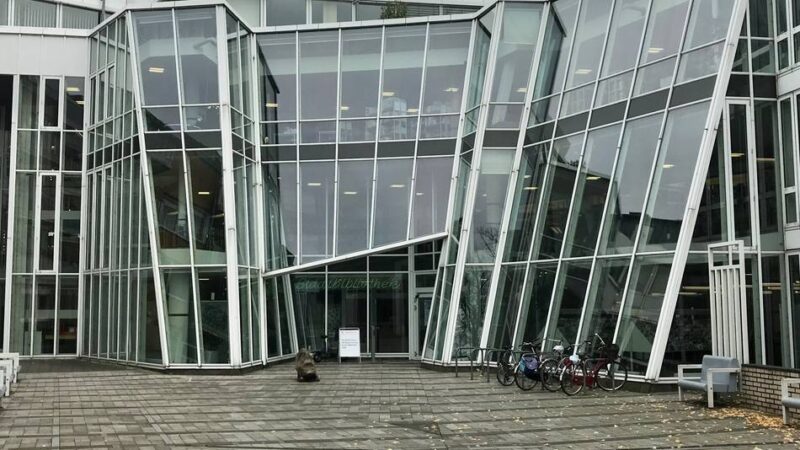 Grundsatzentscheidung zur Kaufhof-Zukunft: Erzbistum will Neusser Stadtbibliothek für Berufskolleg haben