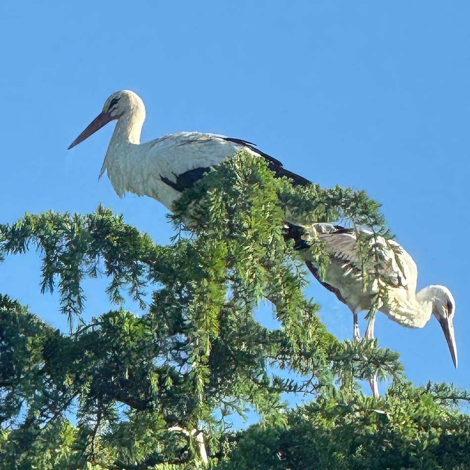 Die meistgelesenen Stücke 2025: Geschichten, über die Dormagen gesprochen hat
