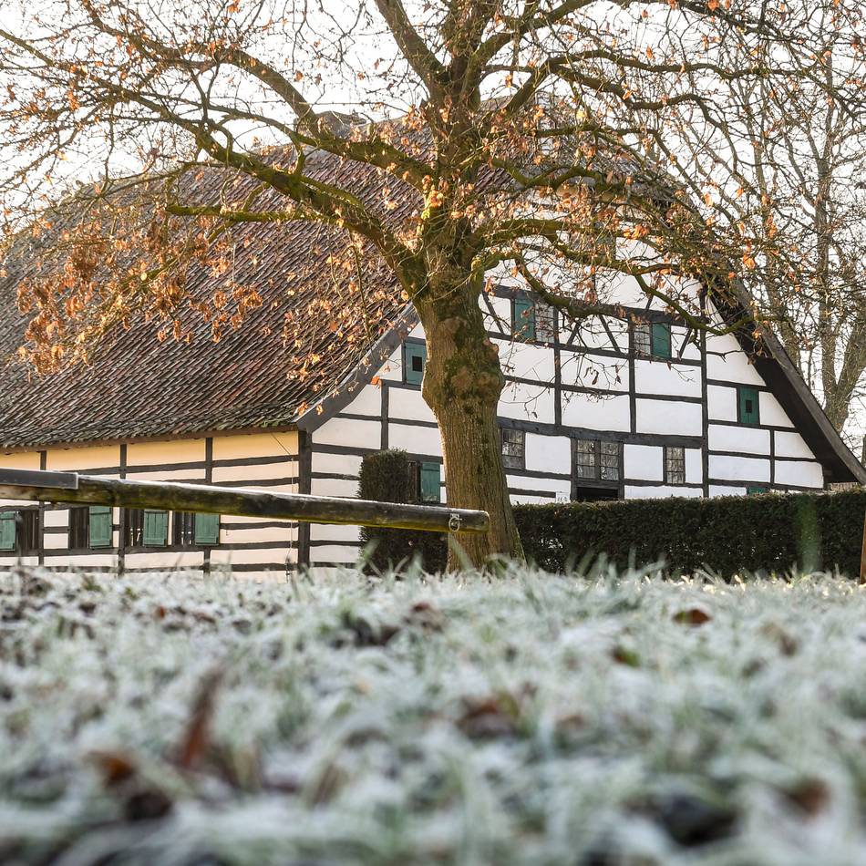 Ausflüge am Niederrhein: Schöne Ziele für Familien in den Weihnachtsferien
