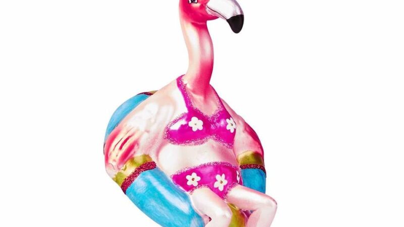 Welcher Weihnachtsbaum ist der schönste?: Viersen sucht den Super-Baum