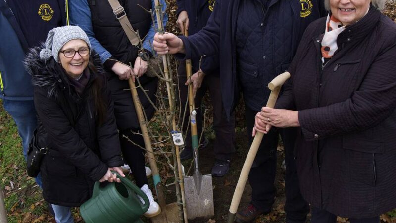 Klimaschutz-Wettbewerb: Xantens Lions pflanzen Baum und fordern Round Table und Leos heraus