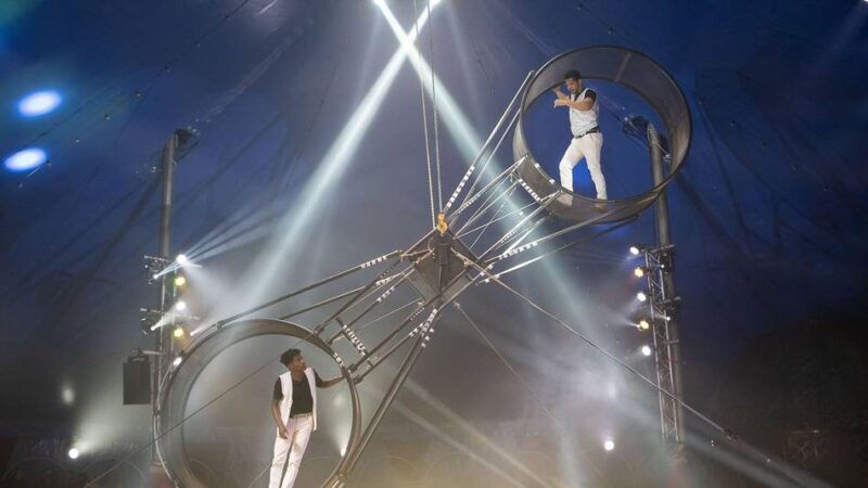 Neusser Weihnachtszirkus feiert Vorpremiere: Von Todesrädern und Manegen-Poesie