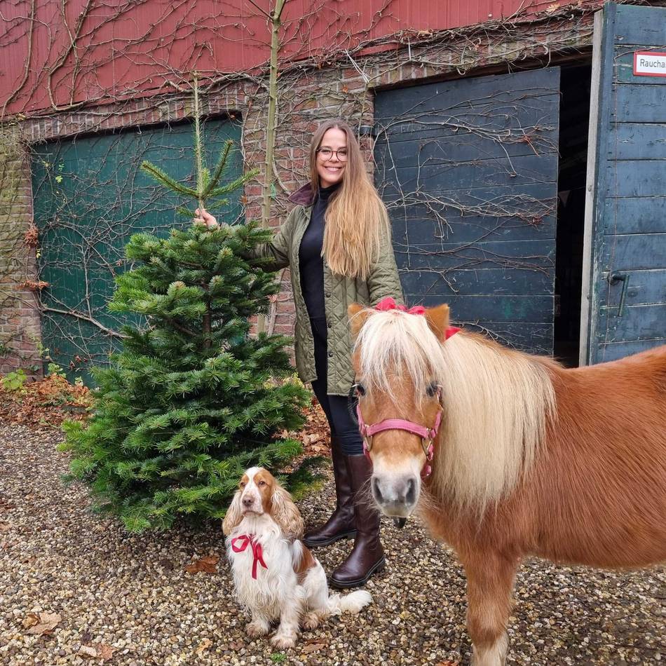 Nordmanntanne bleibt Favorit: Mit Wasser und frischer Luft – wie Weihnachtsbäume lange halten