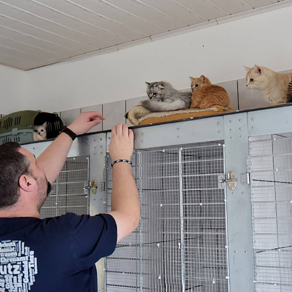 Tierheim in Rommerskirchen : So wird in der Silvesternacht auf die Tiere aufgepasst