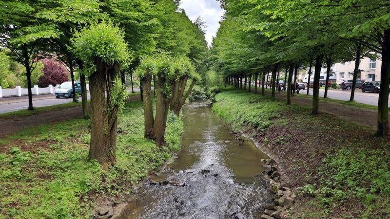Bürgerantrag abgelehnt: Parken an der Wiembachallee bleibt schwierig