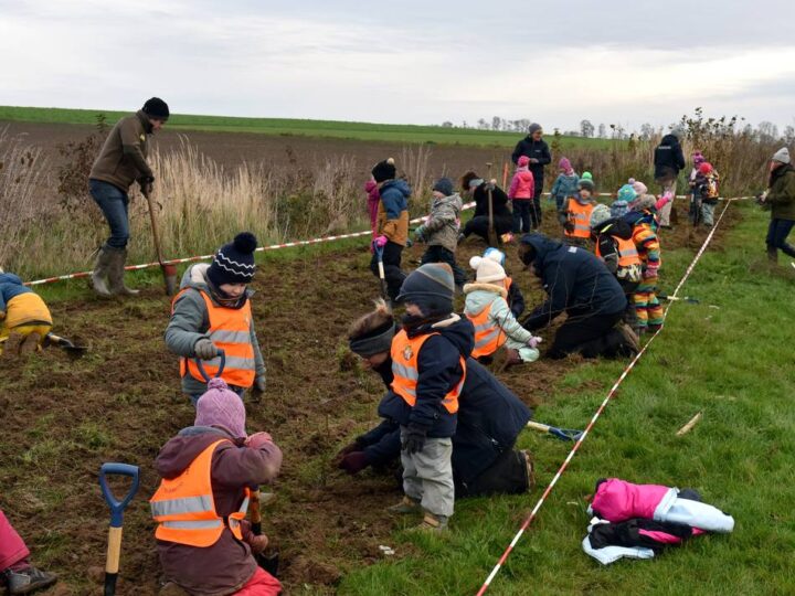 Kleine Hände pflanzen kleine Bäume: Rommerskirchens Festplatz kriegt einen Mini-Wald