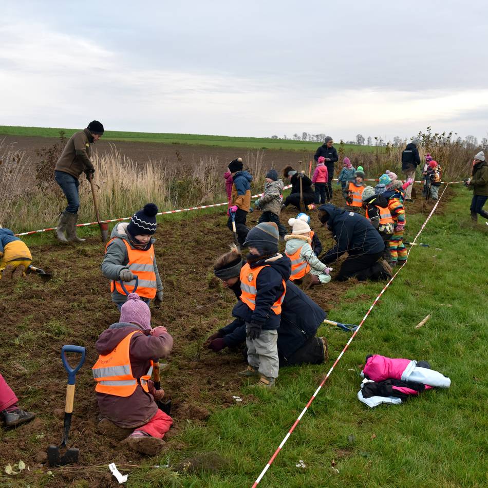 Kleine Hände pflanzen kleine Bäume: Rommerskirchens Festplatz kriegt einen Mini-Wald