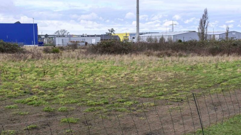 Auf der Fläche neben Ikea: Idee für Gewerbepark in Kaarst überzeugt die Politik