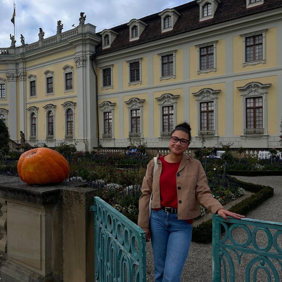 Mannheim-Kolumne: Immer Ärger mit dem RE 10