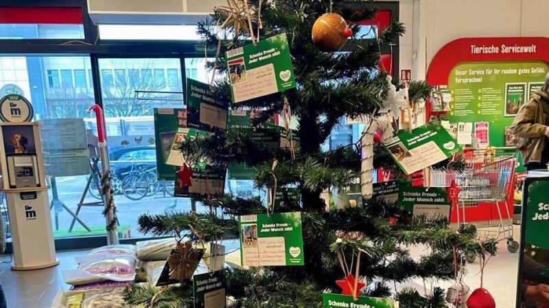 Hoffnung für Kinder, Tiere und Senioren: Warum Wunschbäume überall Menschen berühren — gerade jetzt im Advent