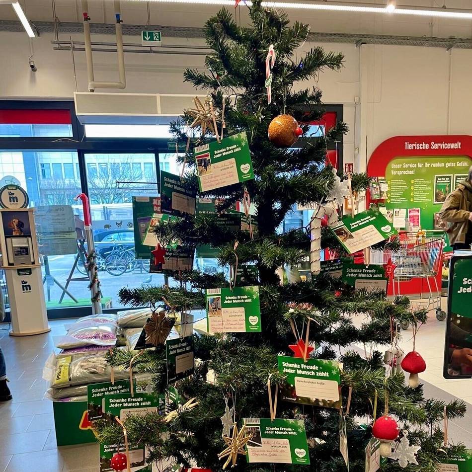 Hoffnung für Kinder, Tiere und Senioren: Warum Wunschbäume überall Menschen berühren — gerade jetzt im Advent