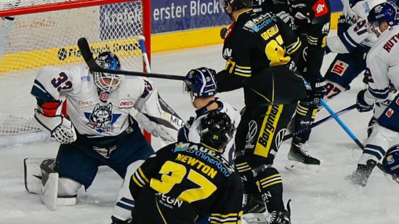 Jan Nijenhuis gibt Einstand: Derbysieg vergoldet – Pinguine schlagen auch Spitzenreiter Kassel