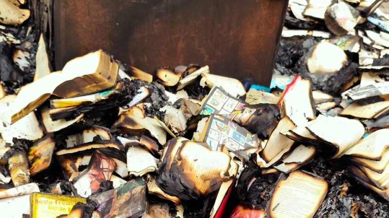 Bereits zum dritten Mal: Bücherschrank in West durch Brand komplett zerstört