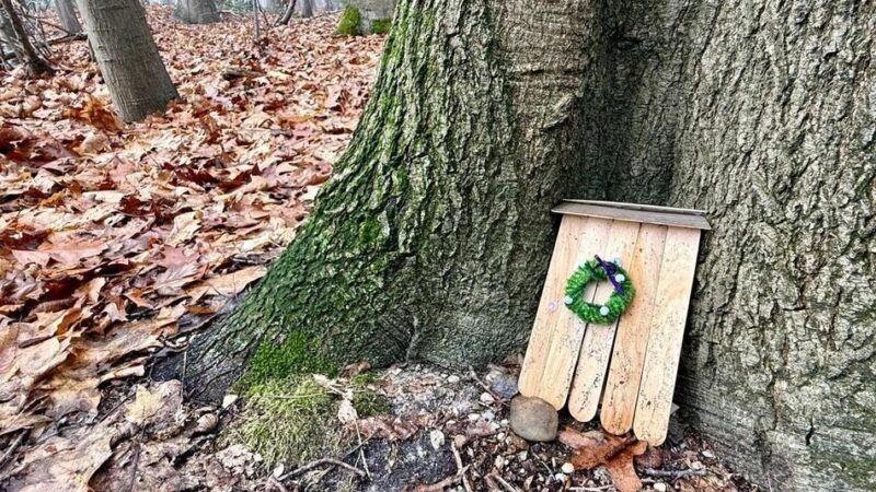 Spaziergang am Klever Berg: Spuren der Wichtel – Entdeckungen am höchsten Punkt von Kleve