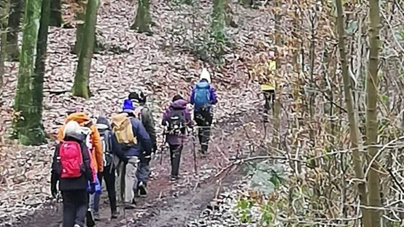 SGV Langenfeld/Monheim: Am Nikolaustag wird zur geschmückten Tanne im Knipprather Wald gewandert
