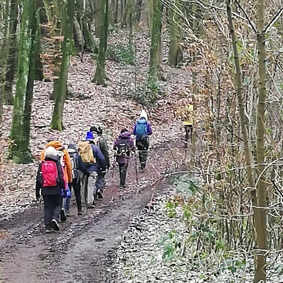 SGV Langenfeld/Monheim: Am Nikolaustag wird zur geschmückten Tanne im Knipprather Wald gewandert