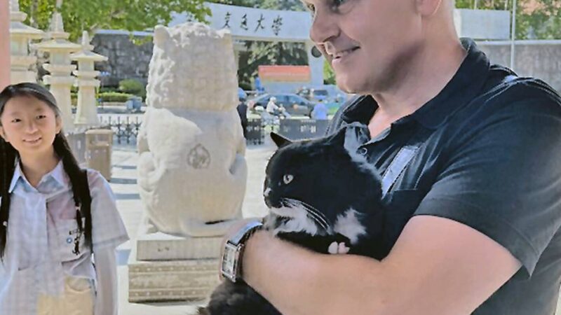 Ausstellung im Haus Hildener Künstler: „Kleine Denklandschaften“ von Udo Dziersk