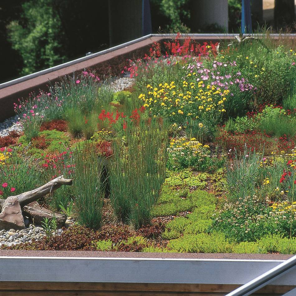 Förderung möglich: Goch hilft beim Verschönern von Haus- und Hofflächen