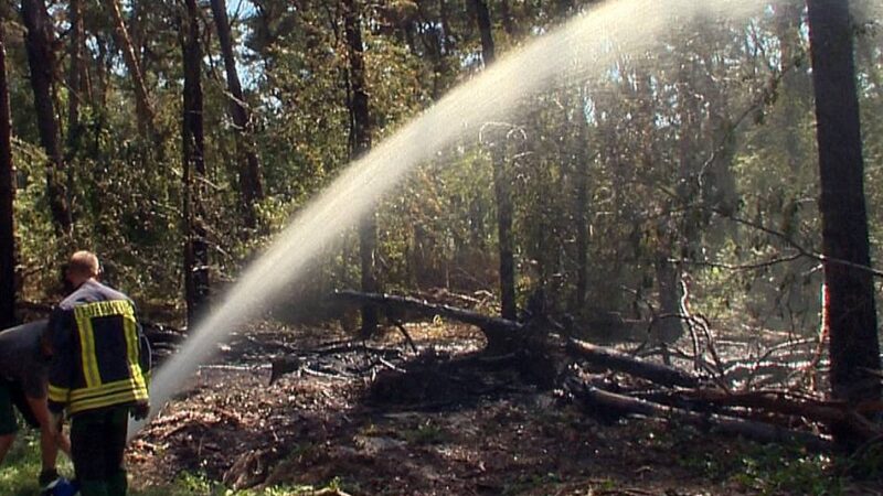 Jahresrückblick: So war das Jahr 2025 in Nettetal