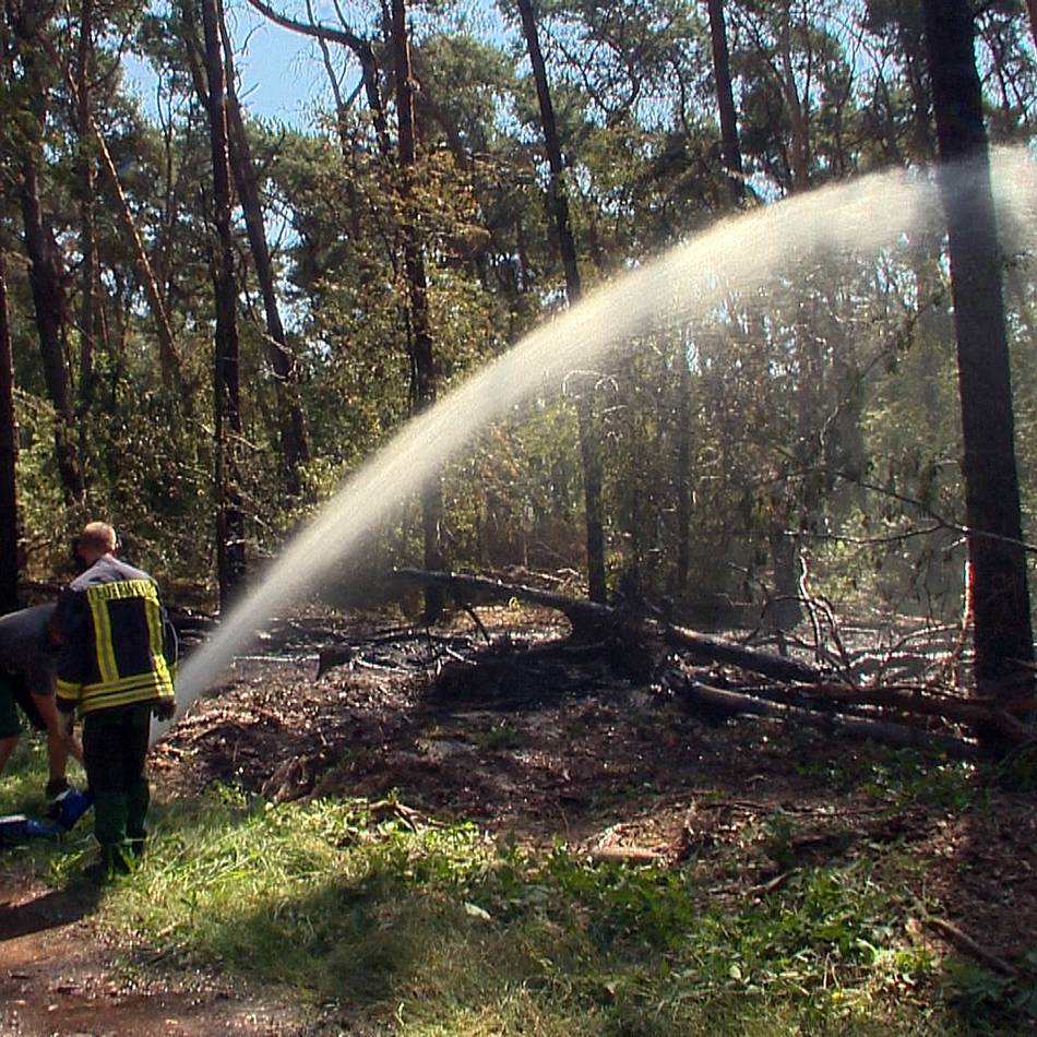 Jahresrückblick: So war das Jahr 2025 in Nettetal