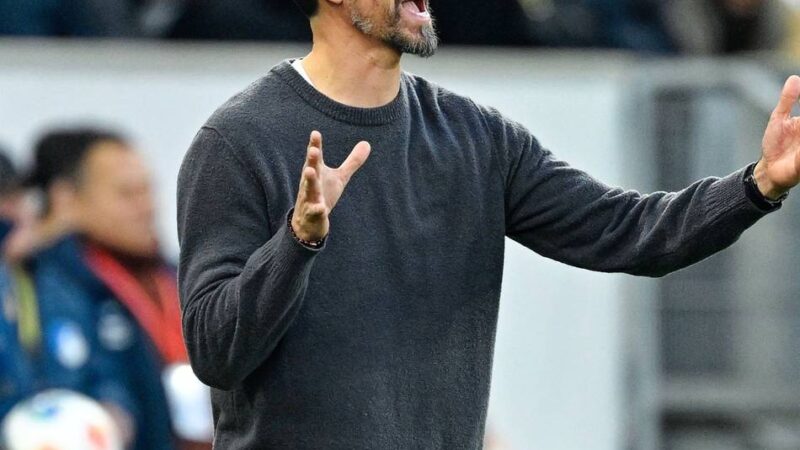 „Der Glaube und die Überzeugung fehlen“: Sandro Wagner nicht mehr Trainer des FC Augsburg