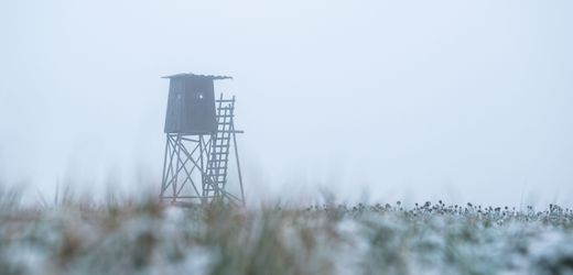 Niedersachsen: Ermittlungen nach Schuss auf Spaziergängerin