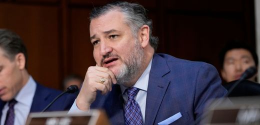 Donald Trump: Ted Cruz spottete in Privatgesprächen über US-Präsidenten