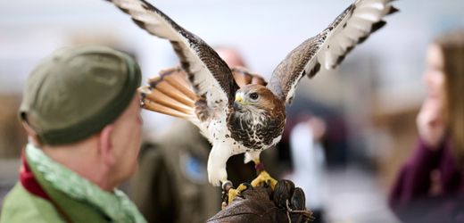 Messe Jagd und Hund in Dortmund: Wo Tierschützer und Großwildjäger aufeinandertreffen