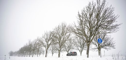 Wetter: So (außer)gewöhnlich ist dieser Winter