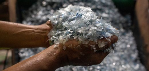 Mikroplastik: Forscher bezweifeln Gefährlichkeit der Partikel im Körper