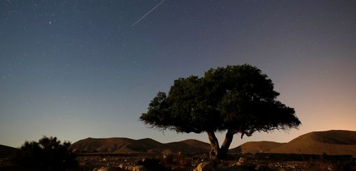 Ofer Waldman über Israel nach dem 7. Oktober 2023: »Verkämpftes Land«