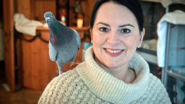 „Tauben sind wundervolle Tiere“: Engagierte Heiligenhauserin gründet Taubenhilfe