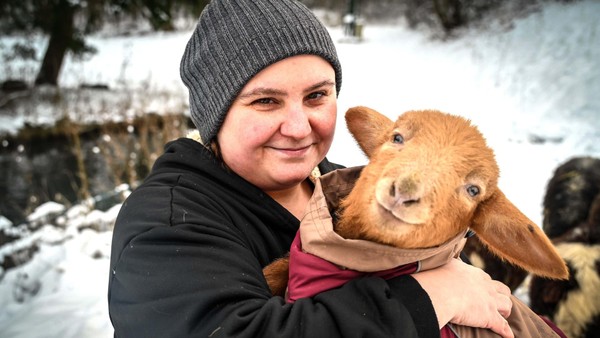 Lämmchen ohne Eltern: Wie eine Velberter Familie Tag und Nacht um Leben kämpft