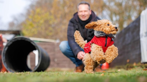 Die beliebtesten Tiernamen: So heißen die meisten Hunde und Katzen in Velbert