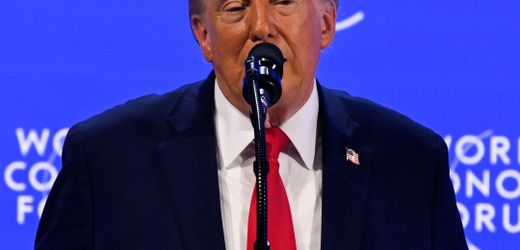Donald Trump in Davos: »Das ist wahrscheinlich meine wichtigste Aussage«