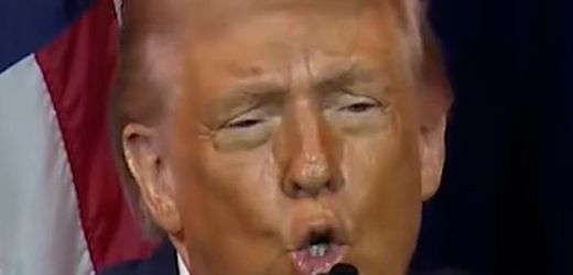 Donald Trump: Inszenierung als starker Mann auf Kosten Macrons