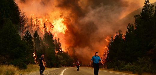 Argentinien: Waldbrände zerstören rund 12.000 Hektar Land